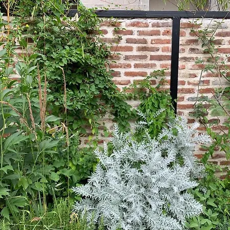 Bright House 10M From Paris *