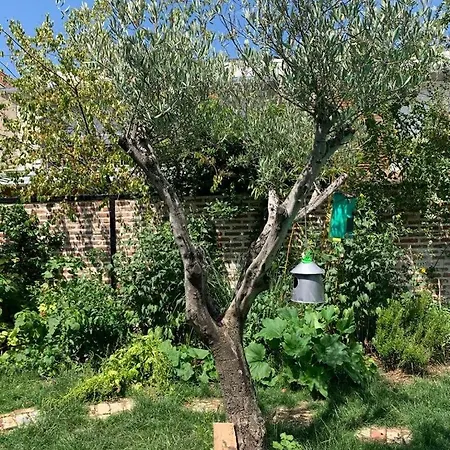 Holiday home Bright House 10M From Paris Sevres